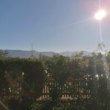 Ausblick Terrasse - Wo großzügiges Wohnen auf eine nachhaltige Investition trifft.